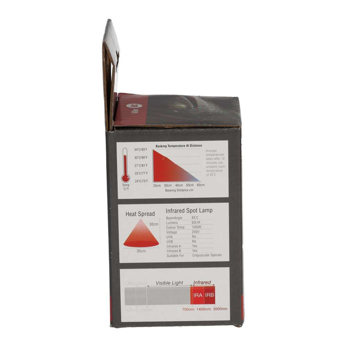 ProRep Infrared Spot Lamp 60w BC - Reptiles By Post