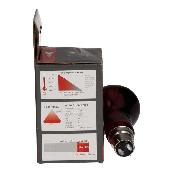 ProRep Infrared Spot Lamp 60w BC - Reptiles By Post