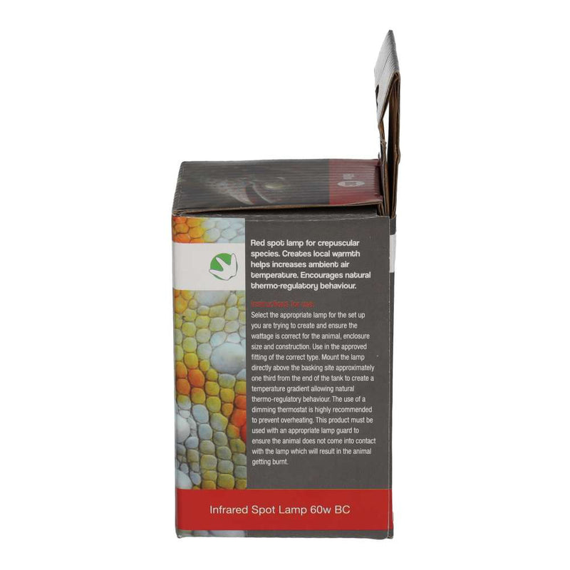 ProRep Infrared Spot Lamp 60w BC - Reptiles By Post