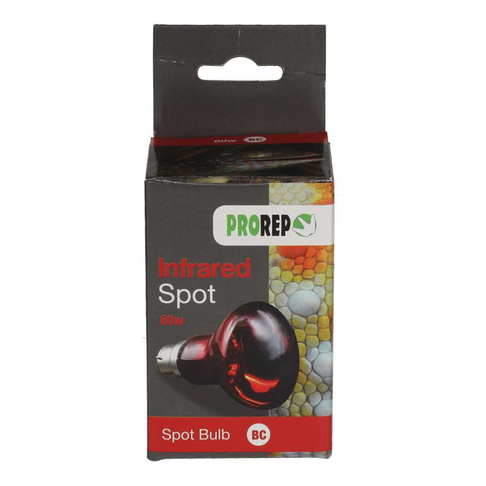 ProRep Infrared Spot Lamp 60w BC - Reptiles By Post