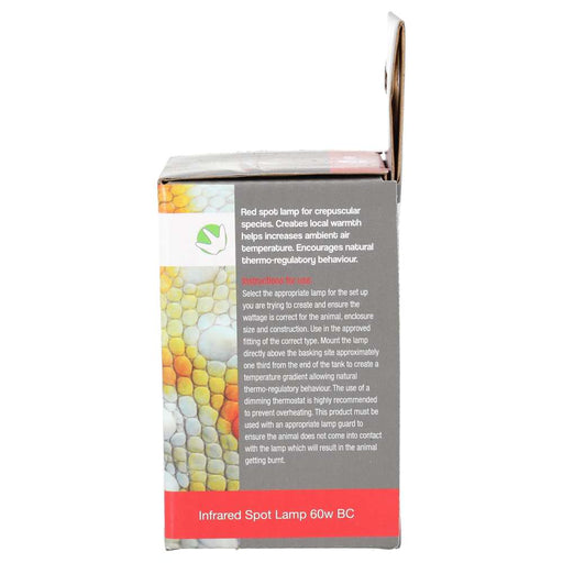 ProRep Infrared Spot Lamp 60w BC - Reptiles By Post