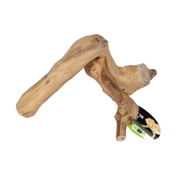 ProRep Jakarta Reptile Branch - Reptiles By Post