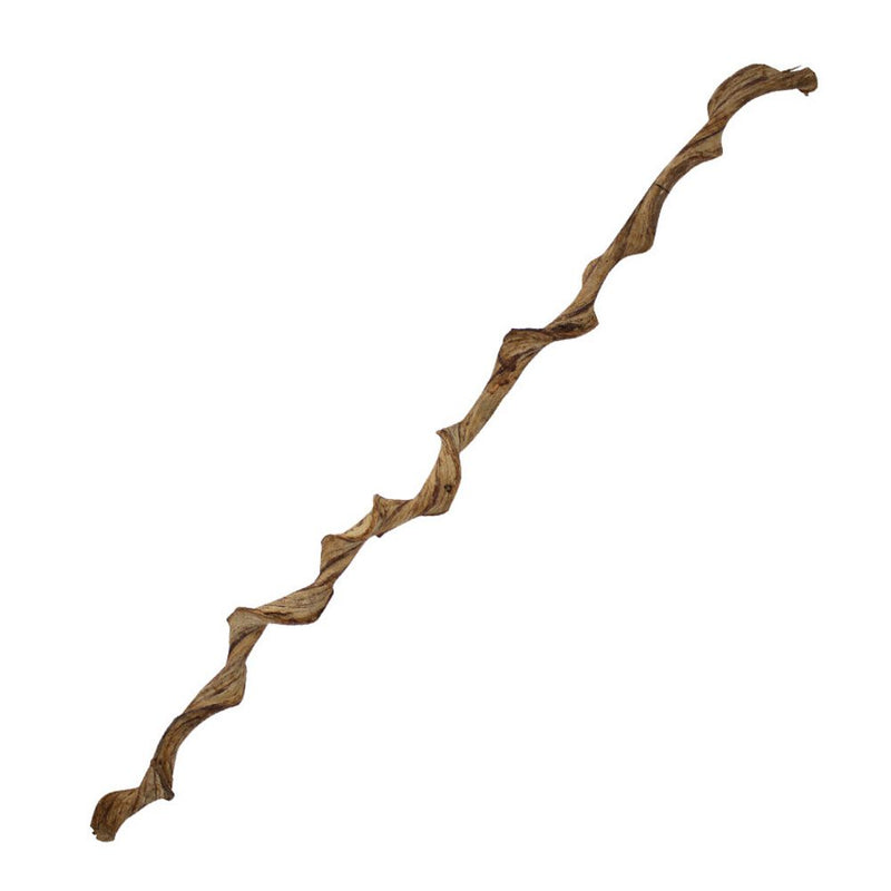 ProRep Natural Frankenstein Liana Vine - 120cm - Reptiles By Post