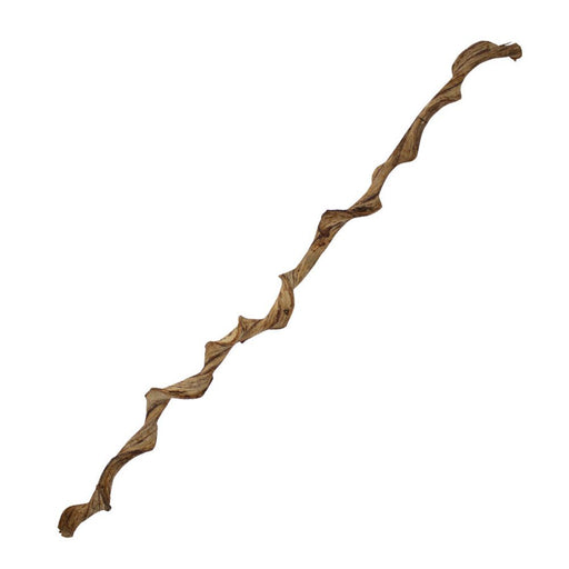 ProRep Natural Frankenstein Liana Vine - 120cm - Reptiles By Post