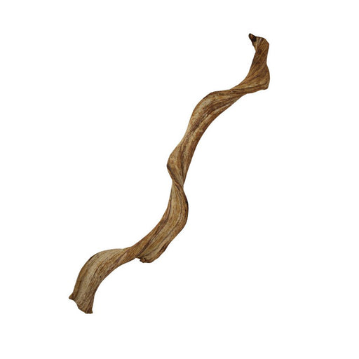 ProRep Natural Frankenstein Liana Vine - 60cm - Reptiles By Post