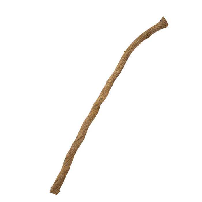 ProRep Natural Liana Vine - 120cm - Reptiles By Post