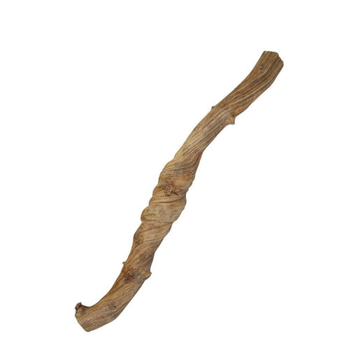 ProRep Natural Liana Vine - 60cm - Reptiles By Post