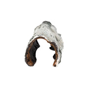 ProRep Resin Birch Log Hide - Reptiles By Post