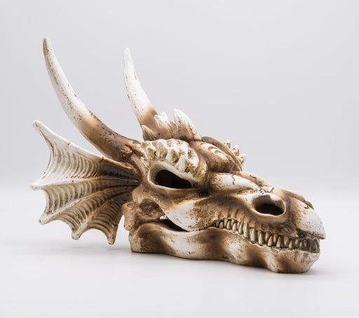 ProRep Resin Dragon Skull - Reptiles By Post
