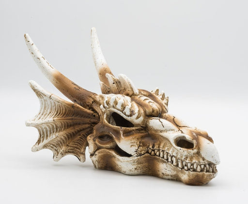 ProRep Resin Dragon Skull - Reptiles By Post