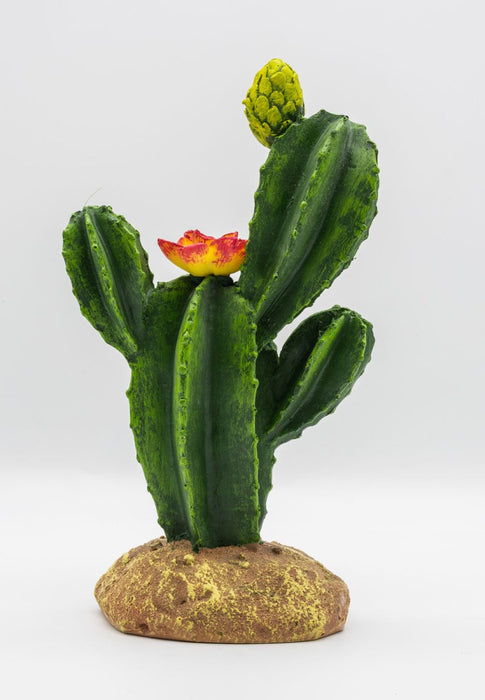 ProRep Resin Flowering Cactus - Reptiles By Post