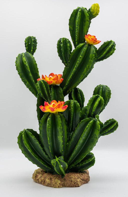 ProRep Resin Flowering Cactus - Reptiles By Post