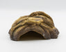 ProRep Resin Root Cave - Reptiles By Post