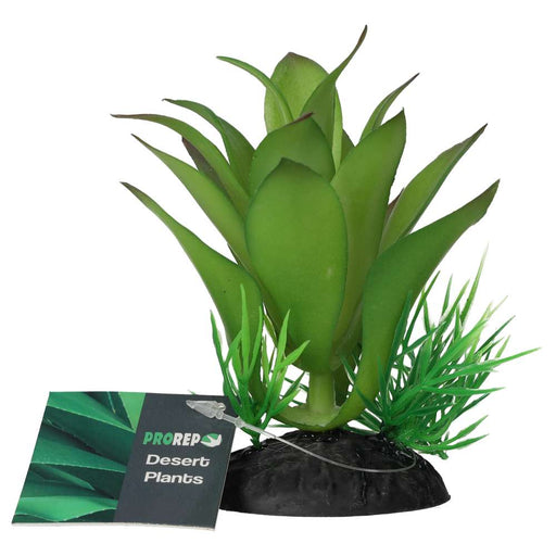 ProRep Sanseviria Plant 10cm - Reptiles By Post