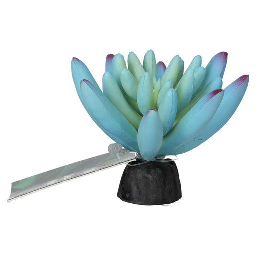 ProRep Sedum Plant Blue 10cm - Reptiles By Post