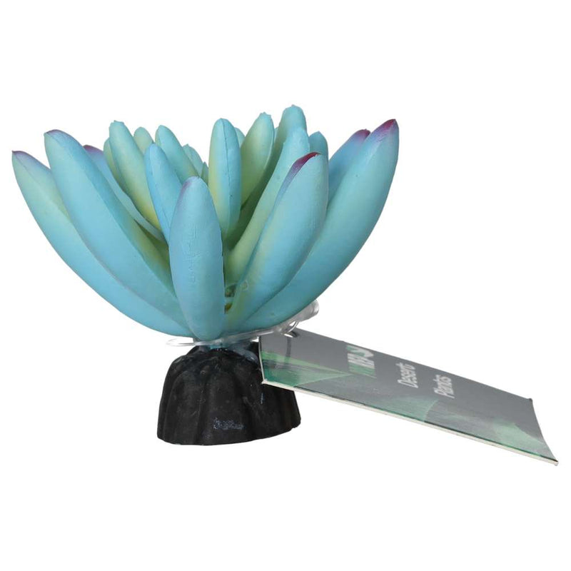 ProRep Sedum Plant Blue 10cm - Reptiles By Post