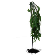 ProRep Silk Hanging Plant Bamboo 30cm - Reptiles By Post