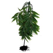 ProRep Silk Hanging Plant Bamboo 30cm - Reptiles By Post