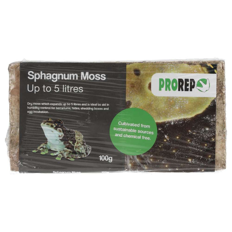 ProRep Spagnum Moss Brick 100g - Reptiles By Post
