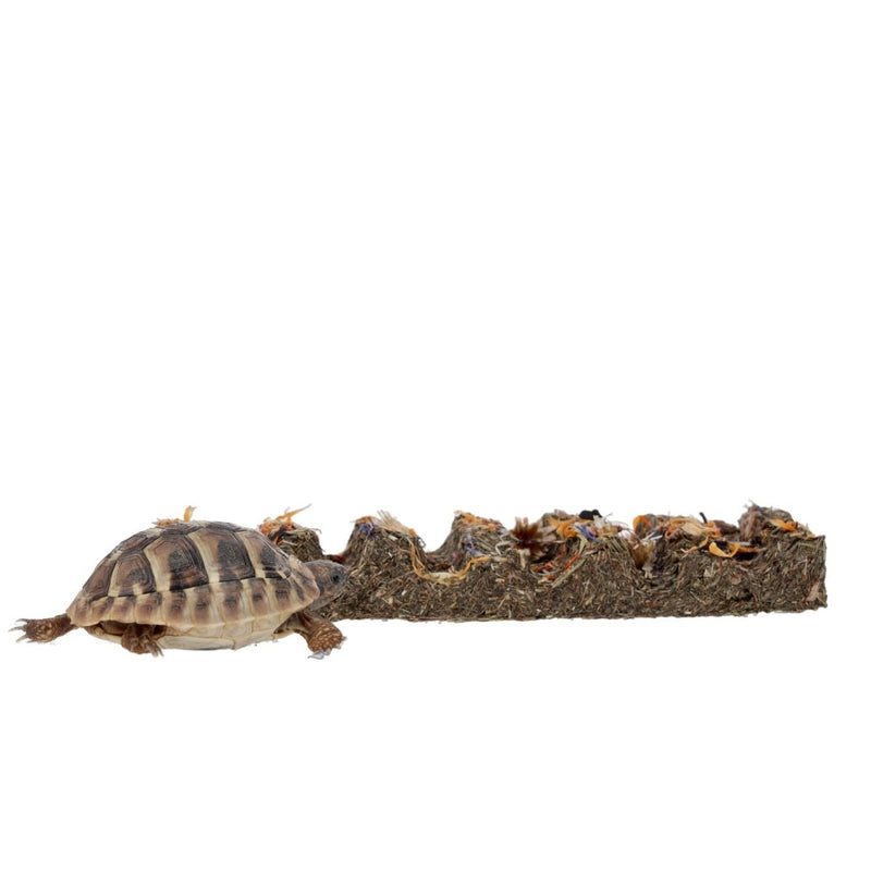ProRep Tortoise Flower Foraging Bar - Reptiles By Post