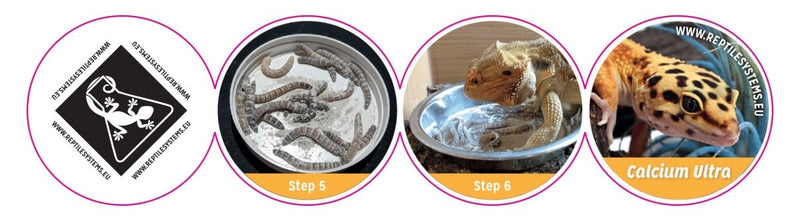 Reptile Systems Calcium Ultra - 1100g - Reptiles By Post