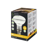 Reptile Systems D3 UV Basking Lamp - Reptiles By Post