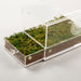 Reptizoo Acrylic Case with Removable Tray - Reptiles By Post