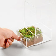 Reptizoo Acrylic Case with Removable Tray - Reptiles By Post