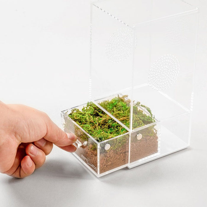 Reptizoo Acrylic Case with Removable Tray - Reptiles By Post