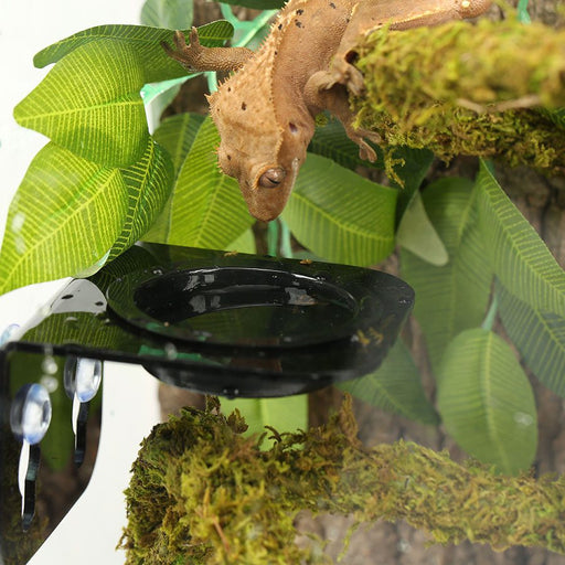 Reptizoo Arboreal Feeder BLACK 8x8cm - Reptiles By Post