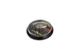 Reptizoo Dial Thermometer - Reptiles By Post