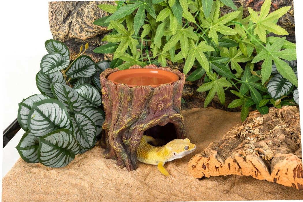 Reptizoo Humid Tree Stump Hideout and Dish - Reptiles By Post