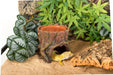 Reptizoo Humid Tree Stump Hideout and Dish - Reptiles By Post