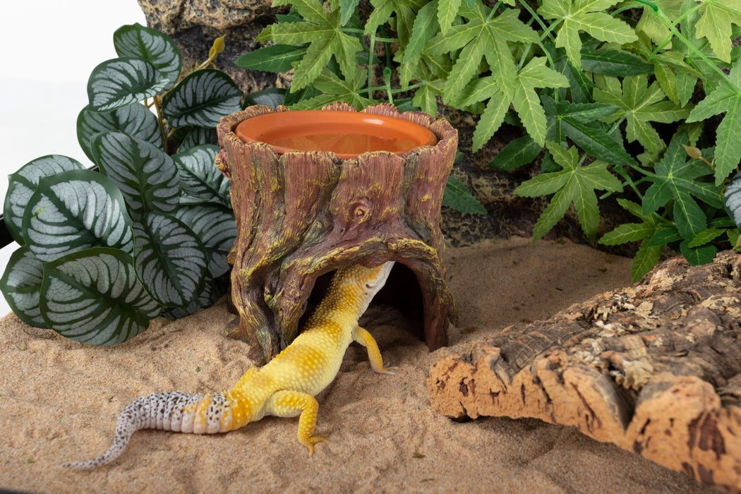 Reptizoo Humid Tree Stump Hideout and Dish - Reptiles By Post