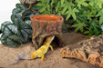 Reptizoo Humid Tree Stump Hideout and Dish - Reptiles By Post