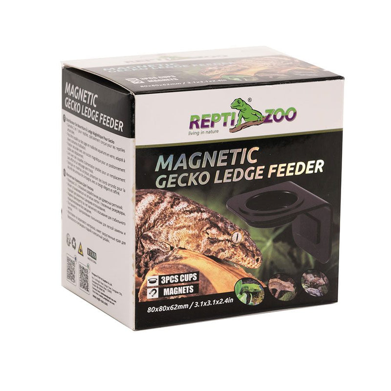 Reptizoo Magnetic Arboreal Feeder 8x8cm - Reptiles By Post
