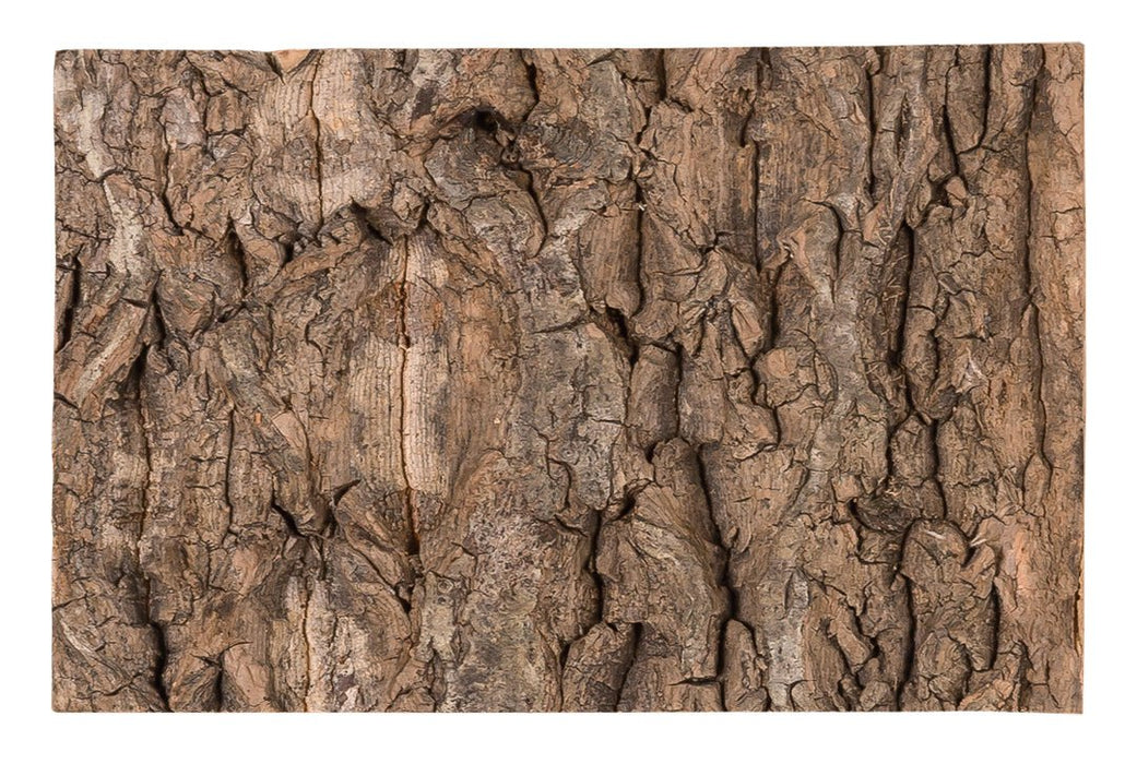 Reptizoo Natural Cork Tile Background - Reptiles By Post