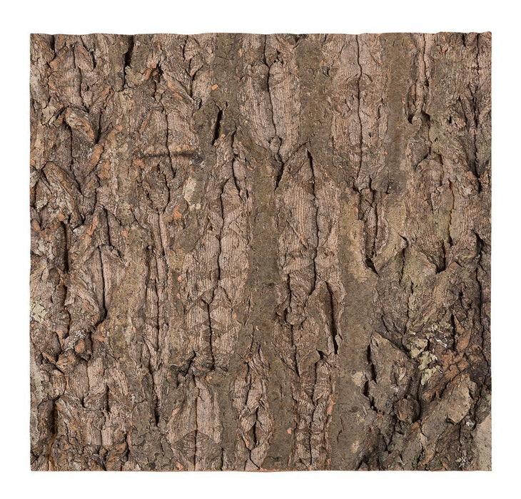 Reptizoo Natural Cork Tile Background - Reptiles By Post