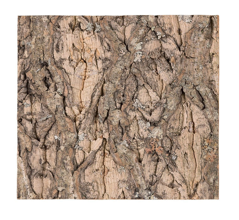 Reptizoo Natural Cork Tile Background - Reptiles By Post