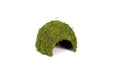 Reptizoo Natural Moss Dome - Reptiles By Post