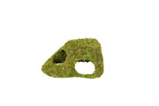 Reptizoo Natural Moss Dome - Reptiles By Post