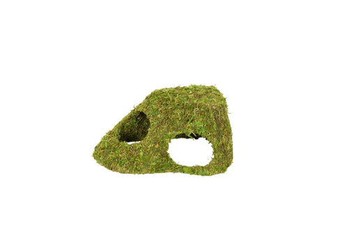 Reptizoo Natural Moss Dome - Reptiles By Post