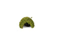 Reptizoo Natural Moss Dome - Reptiles By Post