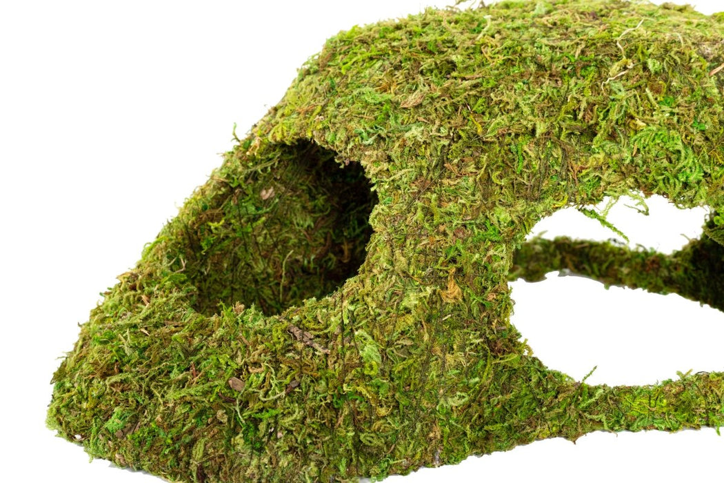 Reptizoo Natural Moss Dome - Reptiles By Post