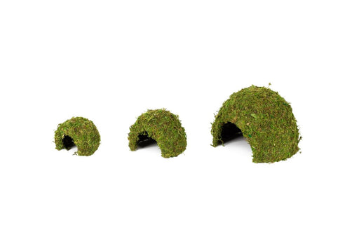 Reptizoo Natural Moss Dome - Reptiles By Post