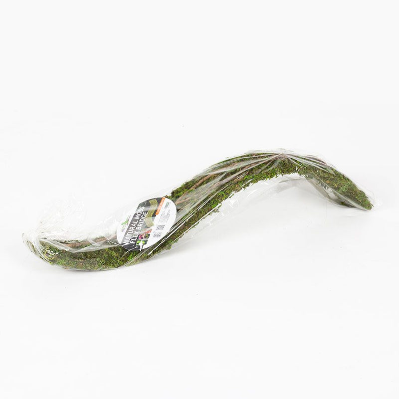 Reptizoo Natural Moss Flex Bridge, Medium, 91x7.5x2cm - Reptiles By Post