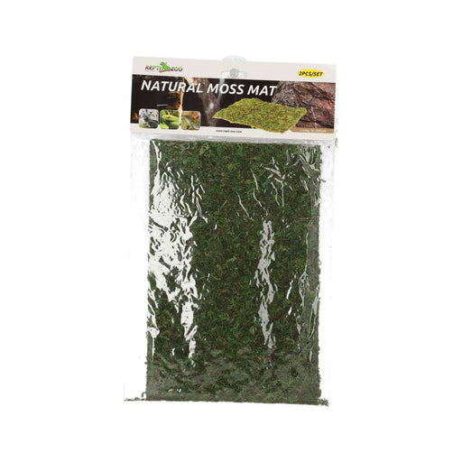 Reptizoo Natural Moss Mat, 30x20cm, Pack of 2 - Reptiles By Post