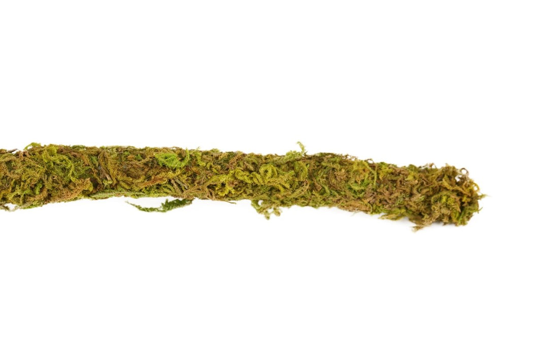 Reptizoo Natural Moss Vine - Reptiles By Post