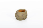 Reptizoo Snake Water Dish - Reptiles By Post