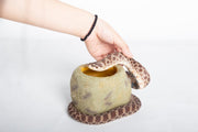 Reptizoo Snake Water Dish - Reptiles By Post